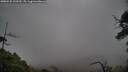./images/calvert/fitz-hugh-hecate/20250520/fitz-hugh-hecate20250520_100509M.jpg