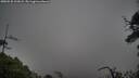 ./images/calvert/fitz-hugh-hecate/20250520/fitz-hugh-hecate20250520_102007M.jpg