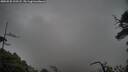 ./images/calvert/fitz-hugh-hecate/20250520/fitz-hugh-hecate20250520_102508M.jpg