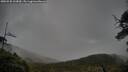 ./images/calvert/fitz-hugh-hecate/20250520/fitz-hugh-hecate20250520_103009M.jpg