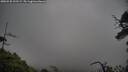 ./images/calvert/fitz-hugh-hecate/20250520/fitz-hugh-hecate20250520_103508M.jpg