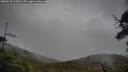 ./images/calvert/fitz-hugh-hecate/20250520/fitz-hugh-hecate20250520_104008M.jpg