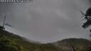 ./images/calvert/fitz-hugh-hecate/20250520/fitz-hugh-hecate20250520_104510M.jpg
