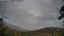 ./images/calvert/fitz-hugh-hecate/20250520/fitz-hugh-hecate20250520_105009M.jpg