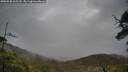 ./images/calvert/fitz-hugh-hecate/20250520/fitz-hugh-hecate20250520_105510M.jpg