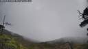 ./images/calvert/fitz-hugh-hecate/20250520/fitz-hugh-hecate20250520_111010M.jpg