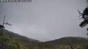 ./images/calvert/fitz-hugh-hecate/20250520/fitz-hugh-hecate20250520_111511M.jpg