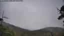./images/calvert/fitz-hugh-hecate/20250520/fitz-hugh-hecate20250520_112007M.jpg