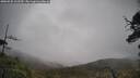 ./images/calvert/fitz-hugh-hecate/20250520/fitz-hugh-hecate20250520_112509M.jpg