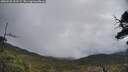 ./images/calvert/fitz-hugh-hecate/20250520/fitz-hugh-hecate20250520_113509M.jpg