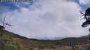 ./images/calvert/fitz-hugh-hecate/20250520/fitz-hugh-hecate20250520_114009M.jpg