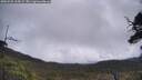 ./images/calvert/fitz-hugh-hecate/20250520/fitz-hugh-hecate20250520_115009M.jpg