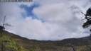 ./images/calvert/fitz-hugh-hecate/20250520/fitz-hugh-hecate20250520_115509M.jpg