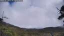 ./images/calvert/fitz-hugh-hecate/20250520/fitz-hugh-hecate20250520_120011M.jpg