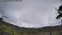 ./images/calvert/fitz-hugh-hecate/20250520/fitz-hugh-hecate20250520_120508M.jpg