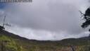./images/calvert/fitz-hugh-hecate/20250520/fitz-hugh-hecate20250520_121009M.jpg