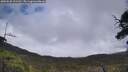 ./images/calvert/fitz-hugh-hecate/20250520/fitz-hugh-hecate20250520_121510M.jpg