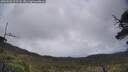 ./images/calvert/fitz-hugh-hecate/20250520/fitz-hugh-hecate20250520_122508M.jpg