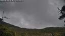 ./images/calvert/fitz-hugh-hecate/20250520/fitz-hugh-hecate20250520_123507M.jpg