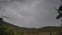 ./images/calvert/fitz-hugh-hecate/20250520/fitz-hugh-hecate20250520_124010M.jpg