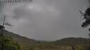 ./images/calvert/fitz-hugh-hecate/20250520/fitz-hugh-hecate20250520_124509M.jpg