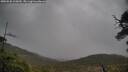 ./images/calvert/fitz-hugh-hecate/20250520/fitz-hugh-hecate20250520_125010M.jpg