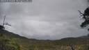 ./images/calvert/fitz-hugh-hecate/20250520/fitz-hugh-hecate20250520_131010M.jpg