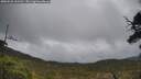 ./images/calvert/fitz-hugh-hecate/20250520/fitz-hugh-hecate20250520_131510M.jpg