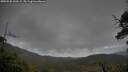 ./images/calvert/fitz-hugh-hecate/20250520/fitz-hugh-hecate20250520_133508M.jpg