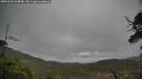 ./images/calvert/fitz-hugh-hecate/20250520/fitz-hugh-hecate20250520_134010M.jpg