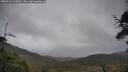 ./images/calvert/fitz-hugh-hecate/20250520/fitz-hugh-hecate20250520_135010M.jpg