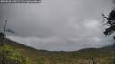 ./images/calvert/fitz-hugh-hecate/20250520/fitz-hugh-hecate20250520_135509M.jpg