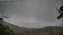 ./images/calvert/fitz-hugh-hecate/20250520/fitz-hugh-hecate20250520_140509M.jpg