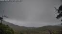 ./images/calvert/fitz-hugh-hecate/20250520/fitz-hugh-hecate20250520_141509M.jpg