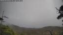./images/calvert/fitz-hugh-hecate/20250520/fitz-hugh-hecate20250520_142510M.jpg