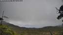 ./images/calvert/fitz-hugh-hecate/20250520/fitz-hugh-hecate20250520_143509M.jpg