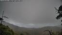 ./images/calvert/fitz-hugh-hecate/20250520/fitz-hugh-hecate20250520_144009M.jpg