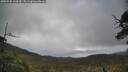 ./images/calvert/fitz-hugh-hecate/20250520/fitz-hugh-hecate20250520_144510M.jpg