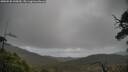 ./images/calvert/fitz-hugh-hecate/20250520/fitz-hugh-hecate20250520_145010M.jpg