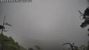 ./images/calvert/fitz-hugh-hecate/20250520/fitz-hugh-hecate20250520_145508M.jpg