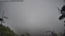./images/calvert/fitz-hugh-hecate/20250520/fitz-hugh-hecate20250520_153010M.jpg