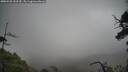 ./images/calvert/fitz-hugh-hecate/20250520/fitz-hugh-hecate20250520_153509M.jpg