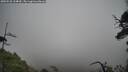 ./images/calvert/fitz-hugh-hecate/20250520/fitz-hugh-hecate20250520_154010M.jpg