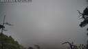 ./images/calvert/fitz-hugh-hecate/20250520/fitz-hugh-hecate20250520_155010M.jpg