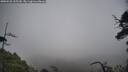 ./images/calvert/fitz-hugh-hecate/20250520/fitz-hugh-hecate20250520_155509M.jpg