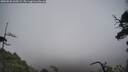 ./images/calvert/fitz-hugh-hecate/20250520/fitz-hugh-hecate20250520_160508M.jpg
