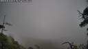 ./images/calvert/fitz-hugh-hecate/20250520/fitz-hugh-hecate20250520_161009M.jpg