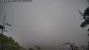 ./images/calvert/fitz-hugh-hecate/20250520/fitz-hugh-hecate20250520_161509M.jpg