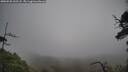 ./images/calvert/fitz-hugh-hecate/20250520/fitz-hugh-hecate20250520_162508M.jpg