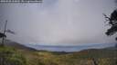 ./images/calvert/fitz-hugh-hecate/20250520/fitz-hugh-hecate20250520_163010M.jpg